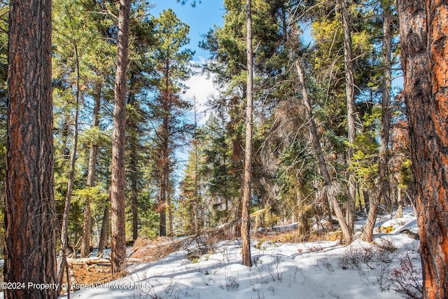 TBD W Village Dr Lot A-1, Marble, CO 81623 - photo 14