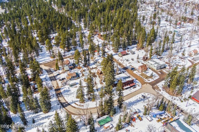 TBD W Village Dr Lot A-1, Marble, CO 81623 - photo 43
