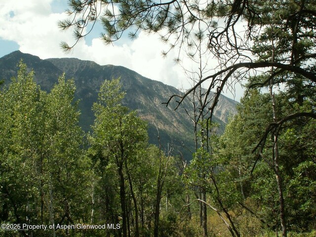 TBD W Village Dr Lot A-1, Marble, CO 81623 - photo 6