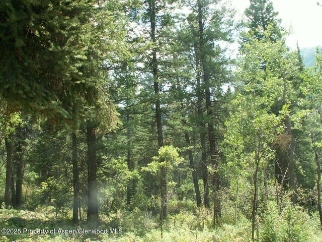 TBD W Village Dr Lot A-1, Marble, CO 81623 - photo 4