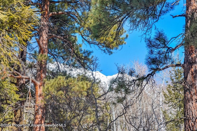 TBD W Village Dr Lot A-1, Marble, CO 81623 - photo 32
