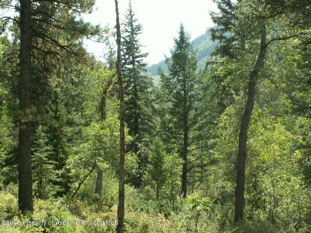 TBD W Village Dr Lot A-1, Marble, CO 81623 - photo 3