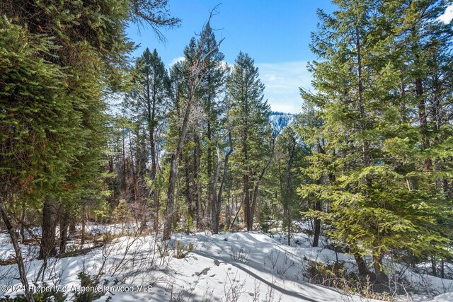 TBD W Village Dr Lot A-1, Marble, CO 81623 - photo 17