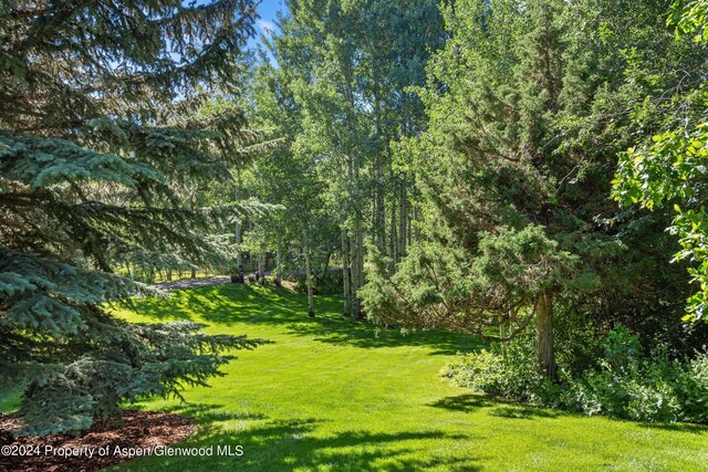 75 Glen Garry Dr, Aspen, CO 81611 - photo 5