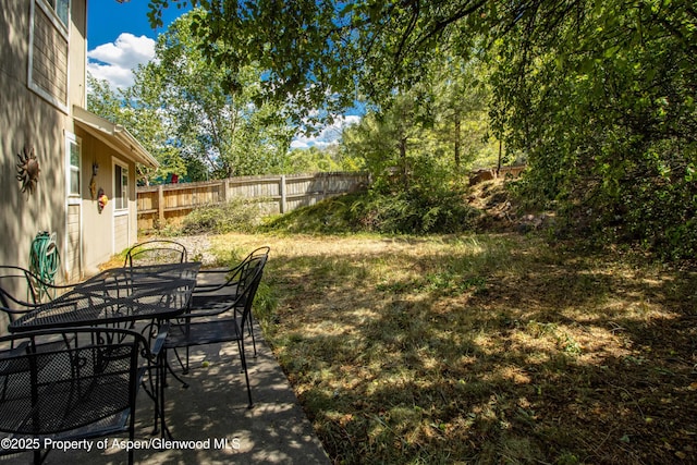 905 Meadow Run, Glenwood Springs, CO 81601 - view of yard with outdoor dining space and a patio