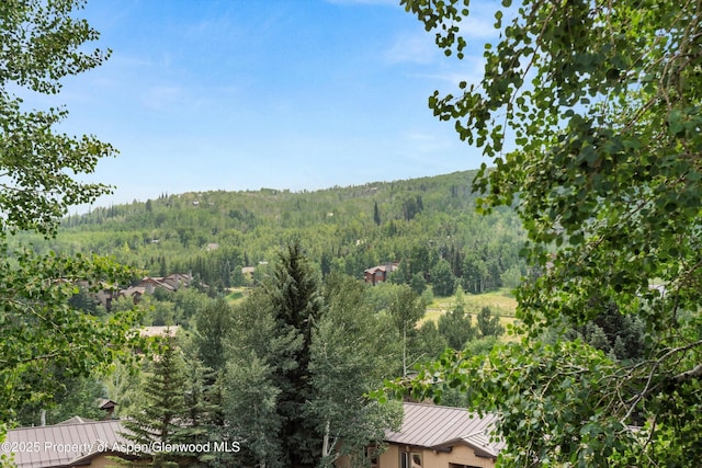 35 Upper Woodbridge Rd Unit 23-Ef, Snowmass Village, CO 81615 - photo 7