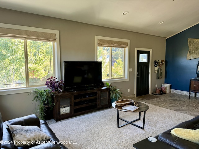 living room featuring carpet floors