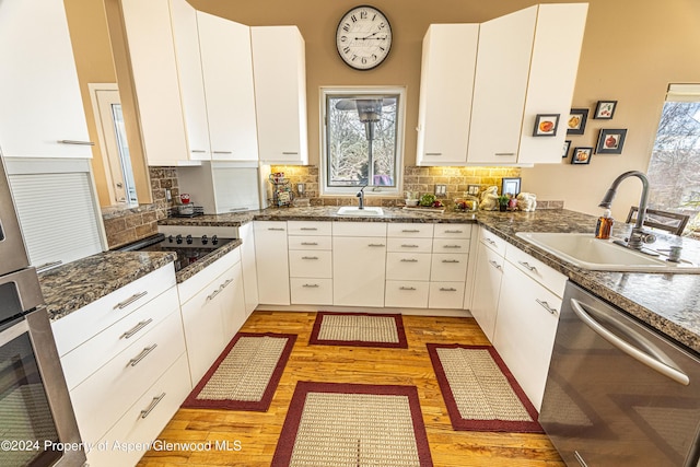 1001 Alta Ct, Craig, CO 81625 - kitchen featuring appliances with stainless steel finishes, a sink, light wood finished floors, and decorative backsplash
