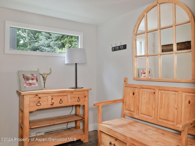 383 Meadow Rnch Unit F-4-C, Snowmass Village, CO 81615 - photo 7