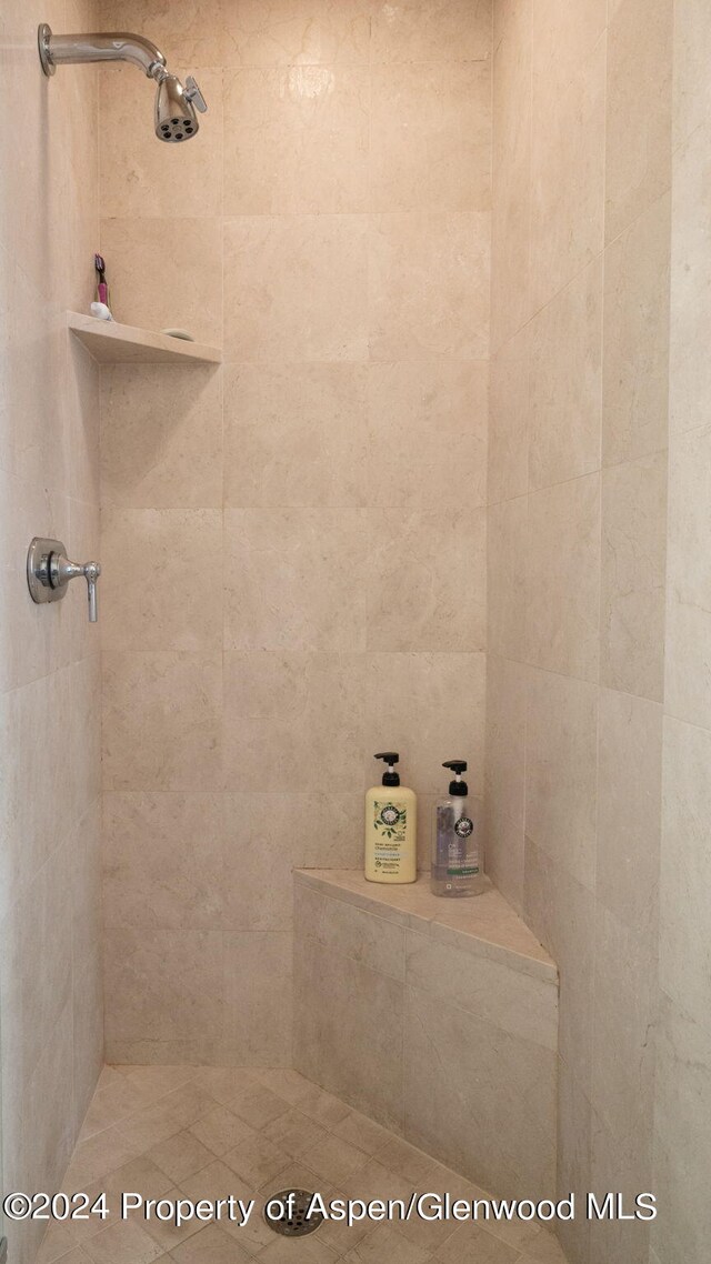 383 Meadow Rnch Unit F-4-C, Snowmass Village, CO 81615 - photo 16