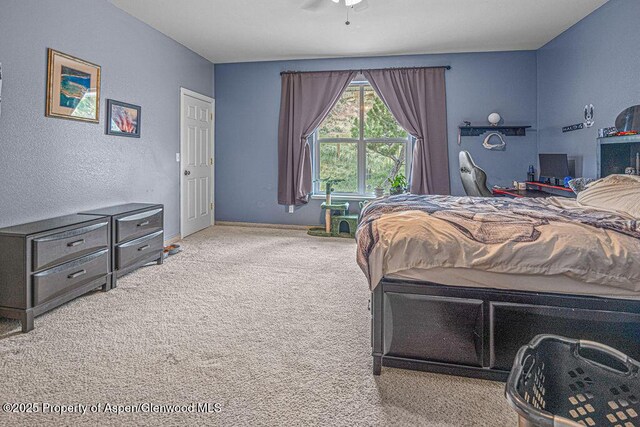 289 Lewis Ln, Craig, CO 81625 - bedroom featuring carpet floors, a ceiling fan, and a textured wall