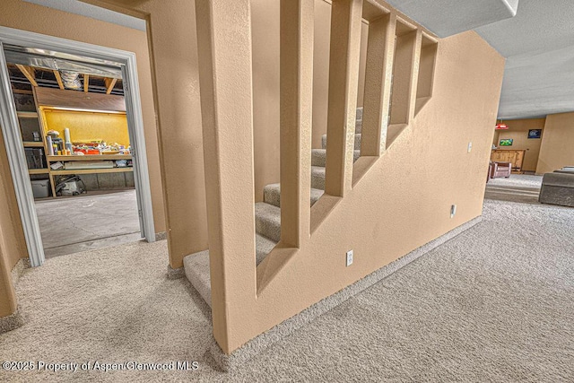 289 Lewis Ln, Craig, CO 81625 - staircase featuring carpet and a textured wall