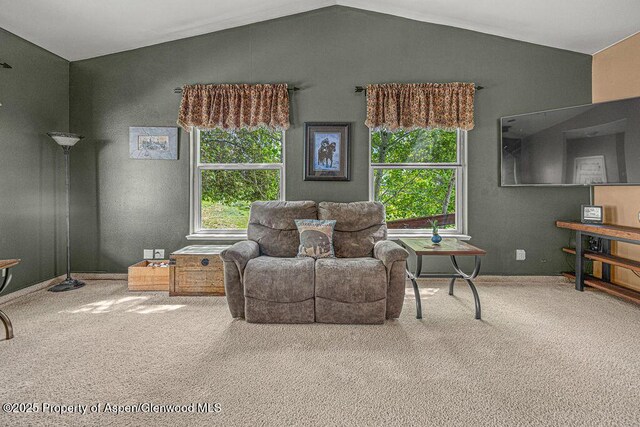 289 Lewis Ln, Craig, CO 81625 - living room with carpet and lofted ceiling