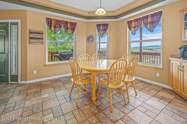 289 Lewis Ln, Craig, CO 81625 - dining area featuring stone tile floors, baseboards, and a raised ceiling