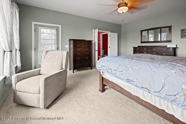 289 Lewis Ln, Craig, CO 81625 - bedroom featuring carpet floors and a ceiling fan