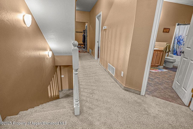 289 Lewis Ln, Craig, CO 81625 - corridor with carpet flooring, a textured wall, and an upstairs landing