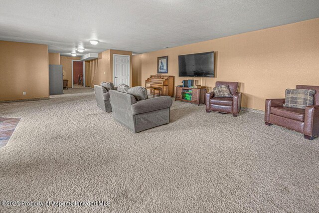 289 Lewis Ln, Craig, CO 81625 - carpeted living area featuring a textured ceiling and baseboards