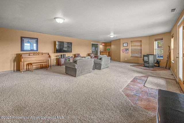 289 Lewis Ln, Craig, CO 81625 - living room featuring a wood stove, carpet, and baseboards