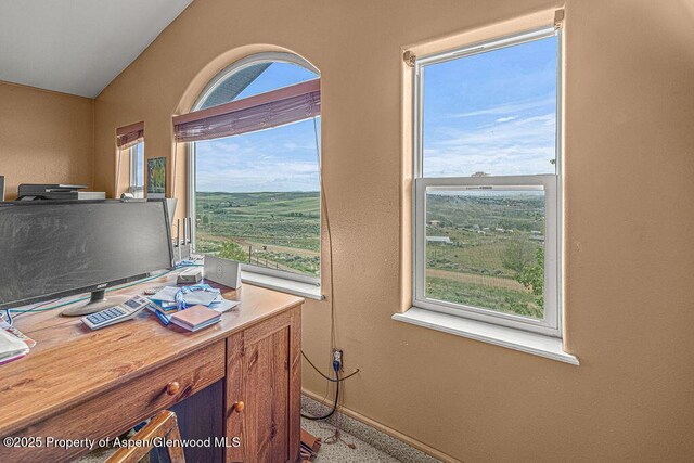 289 Lewis Ln, Craig, CO 81625 - office space with healthy amount of natural light, baseboards, and lofted ceiling