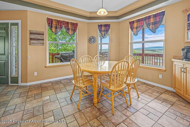289 Lewis Ln, Craig, CO 81625 - dining area featuring stone tile floors, baseboards, and a raised ceiling