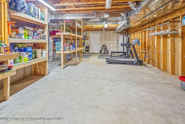 289 Lewis Ln, Craig, CO 81625 - unfinished basement featuring a workshop area