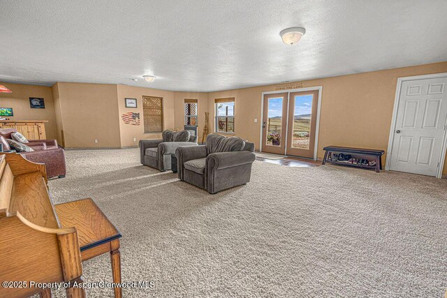 289 Lewis Ln, Craig, CO 81625 - carpeted living room featuring a textured ceiling and baseboards