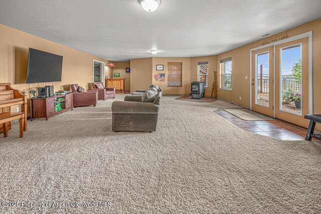 289 Lewis Ln, Craig, CO 81625 - carpeted living area featuring a wood stove and a textured ceiling