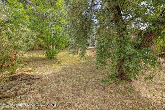 813 Finley Ln, Craig, CO 81625 - view of undeveloped land