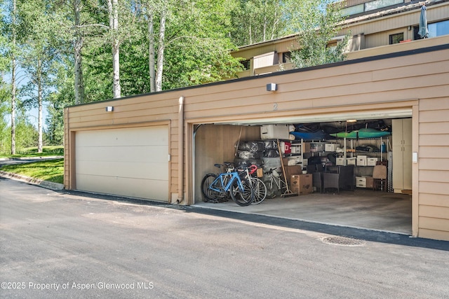 155 Lone Pine Rd Unit 2, Aspen, CO 81611 - view of garage