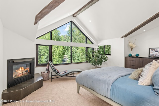 155 Lone Pine Rd Unit 2, Aspen, CO 81611 - carpeted bedroom featuring a fireplace