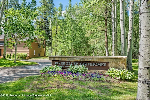 155 Lone Pine Rd Unit 2, Aspen, CO 81611 - view of community / neighborhood sign