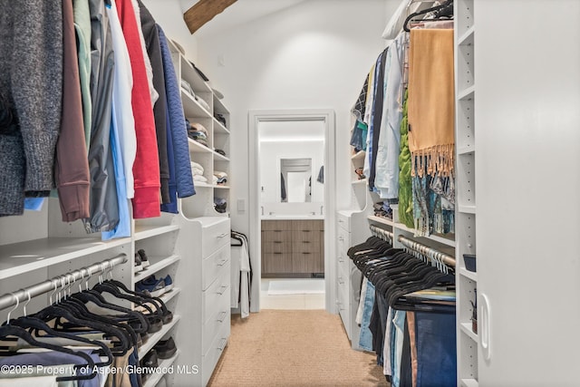 155 Lone Pine Rd Unit 2, Aspen, CO 81611 - walk in closet featuring carpet floors