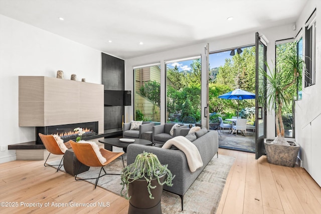 155 Lone Pine Rd Unit 2, Aspen, CO 81611 - living room featuring light wood-style floors, a fireplace, and recessed lighting