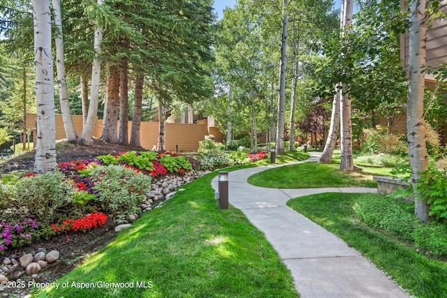 155 Lone Pine Rd Unit 2, Aspen, CO 81611 - view of yard