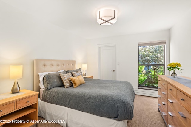 155 Lone Pine Rd Unit 2, Aspen, CO 81611 - bedroom with carpet flooring