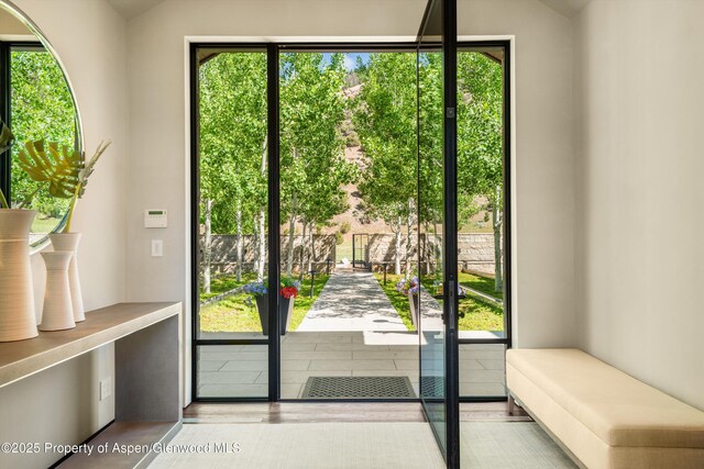 295 Aspen Valley Ranch Rd, Woody Creek, CO 81656 - doorway to outside with healthy amount of natural light and lofted ceiling