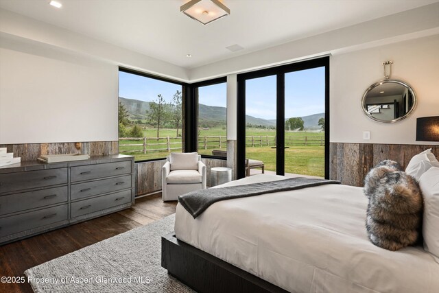 295 Aspen Valley Ranch Rd, Woody Creek, CO 81656 - bedroom featuring a mountain view, dark wood-type flooring, and a wainscoted wall