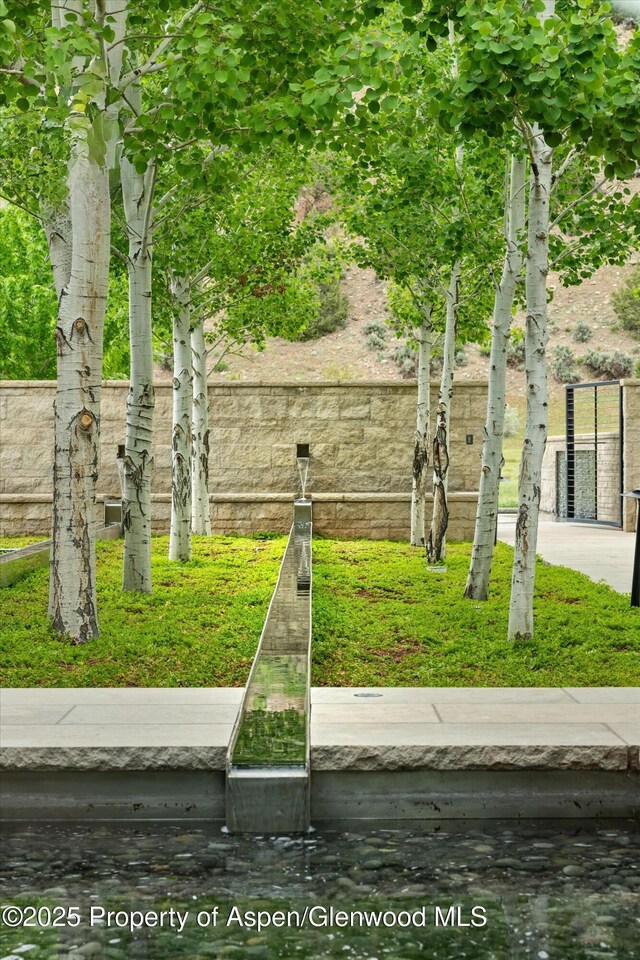 295 Aspen Valley Ranch Rd, Woody Creek, CO 81656 - view of surrounding community