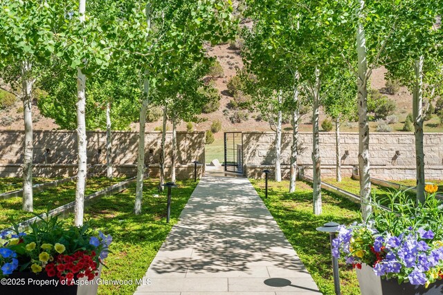 295 Aspen Valley Ranch Rd, Woody Creek, CO 81656 - view of community