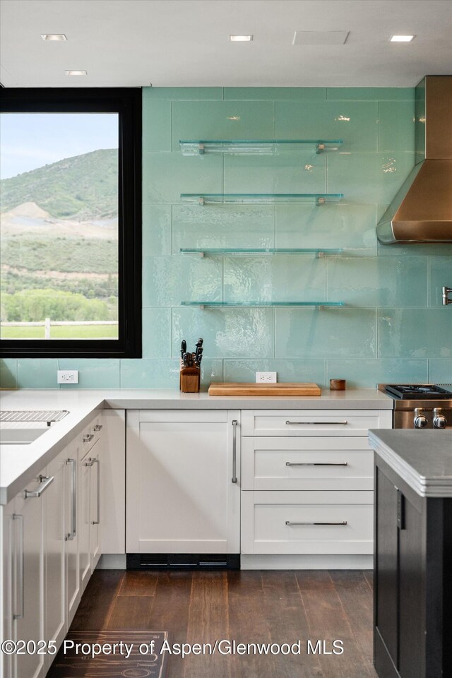 295 Aspen Valley Ranch Rd, Woody Creek, CO 81656 - indoor bar featuring exhaust hood, backsplash, dark wood-style floors, range, and recessed lighting