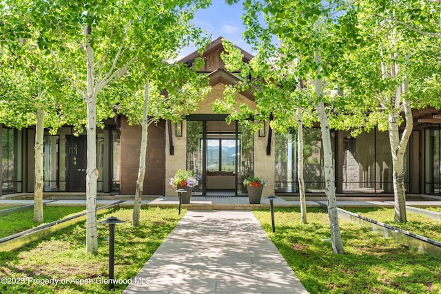 295 Aspen Valley Ranch Rd, Woody Creek, CO 81656 - view of front facade with a front lawn