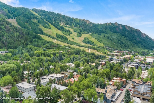 940 Waters Ave Unit 209, Aspen, CO 81611 - photo 21