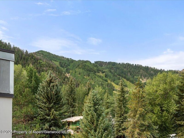 940 Waters Ave Unit 209, Aspen, CO 81611 - photo 19