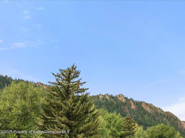 940 Waters Ave Unit 209, Aspen, CO 81611 - photo 18