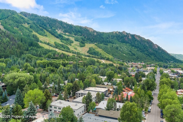 940 Waters Ave Unit 209, Aspen, CO 81611 - photo 20