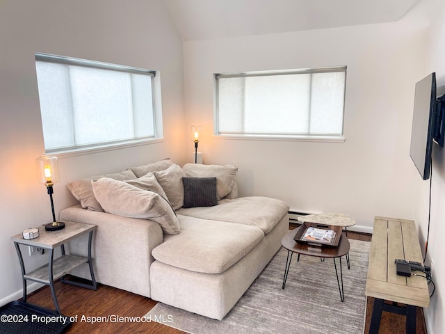 1195 E Cooper Ave Unit A, Aspen, CO 81611 - living room featuring wood finished floors, vaulted ceiling, and a baseboard heating unit