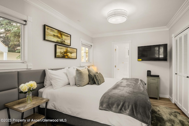 1195 E Cooper Ave Unit A, Aspen, CO 81611 - bedroom with ornamental molding, wood finished floors, and a closet