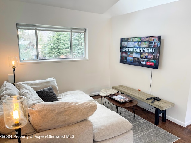 1195 E Cooper Ave Unit A, Aspen, CO 81611 - living room featuring wood finished floors and lofted ceiling