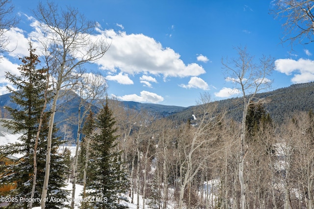 view of mountain feature with a view of trees