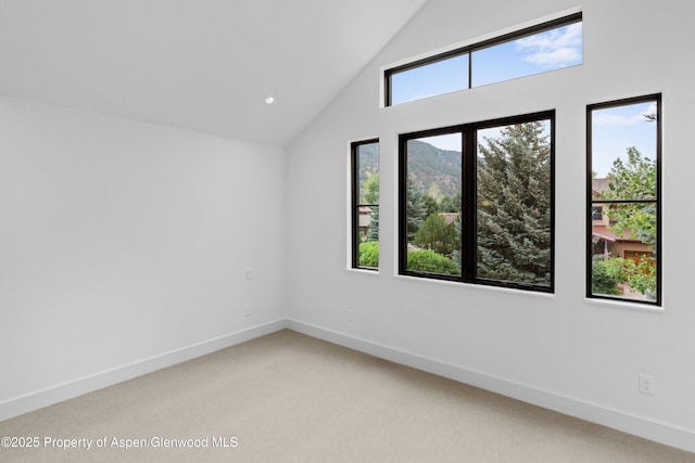 306 Golden Bear Dr, Carbondale, CO 81623 - photo 24